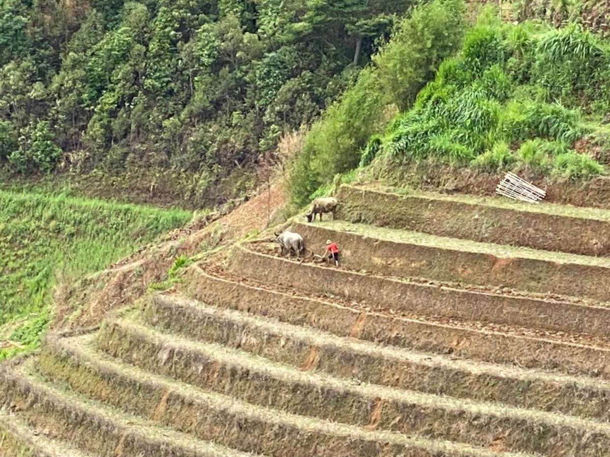 Mu Cang Chai Homestay & Trekking Ngoại thất bức ảnh