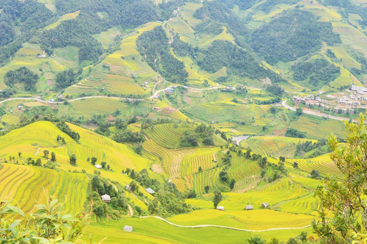 Mu Cang Chai Homestay & Trekking Ngoại thất bức ảnh