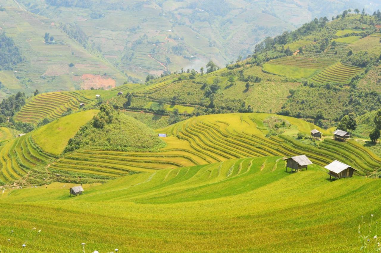 Mu Cang Chai Homestay & Trekking Ngoại thất bức ảnh