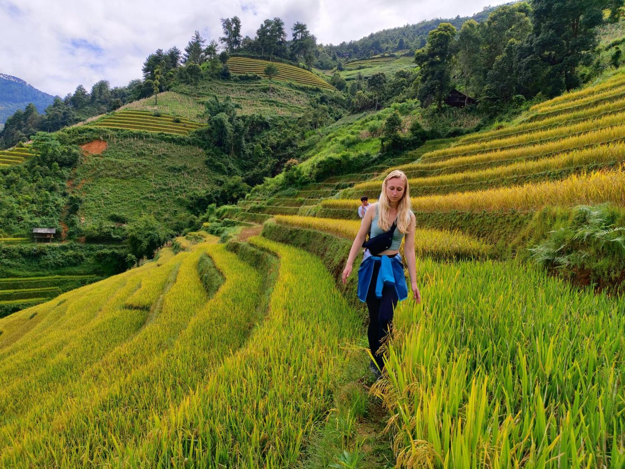 Mu Cang Chai Homestay & Trekking Ngoại thất bức ảnh