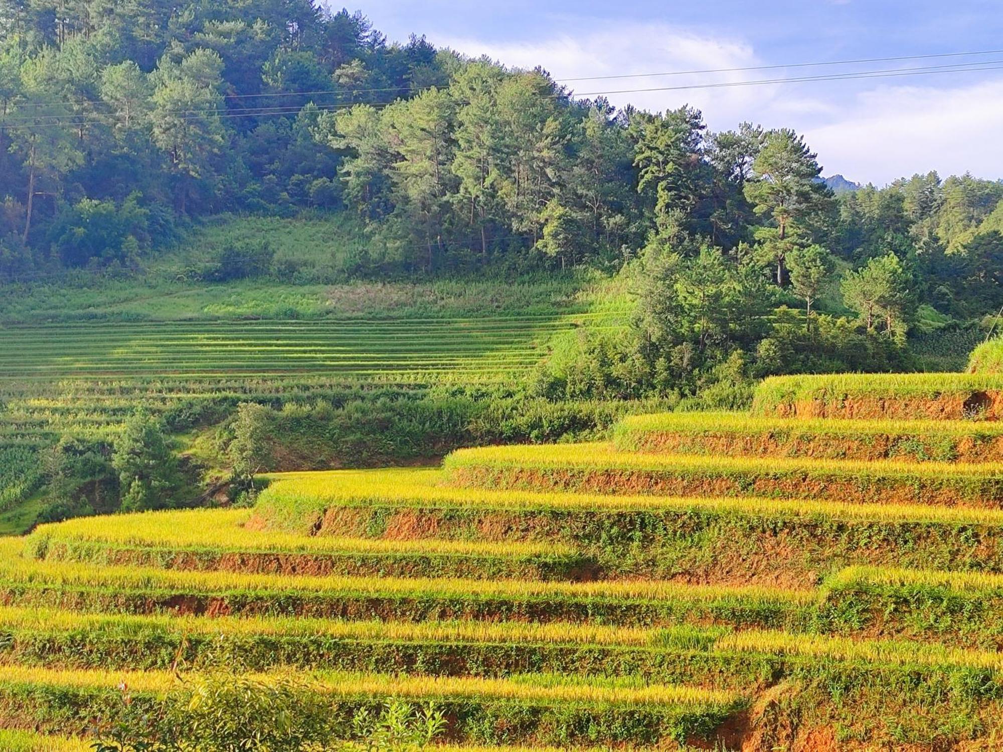 Mu Cang Chai Homestay & Trekking Ngoại thất bức ảnh
