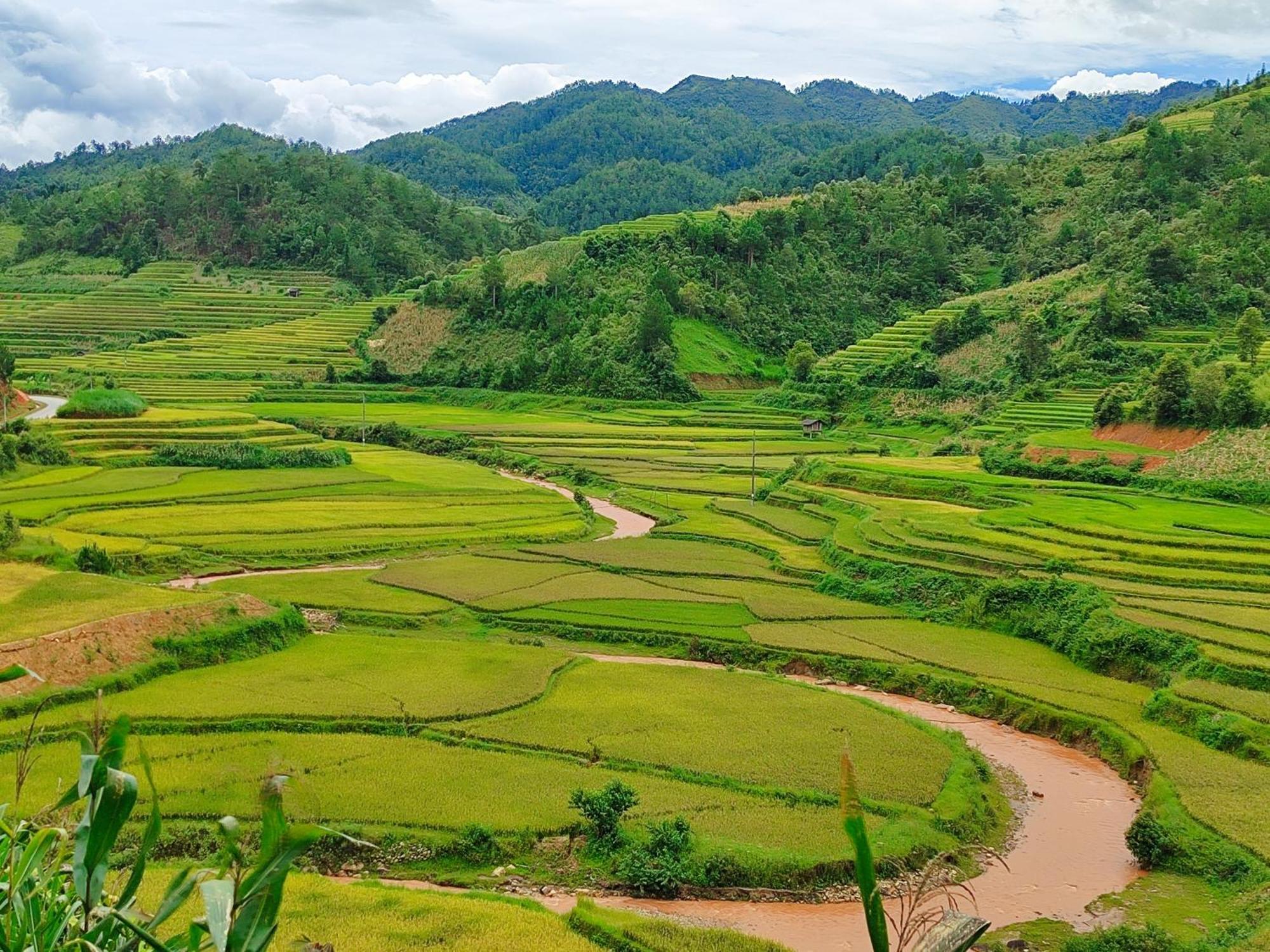Mu Cang Chai Homestay & Trekking Ngoại thất bức ảnh